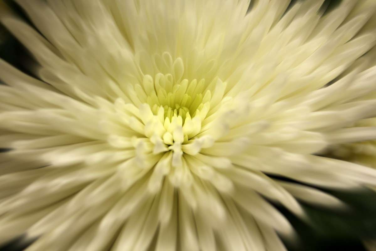 ����� ����� ���� �������� �� PhotoGeek.ru #���������