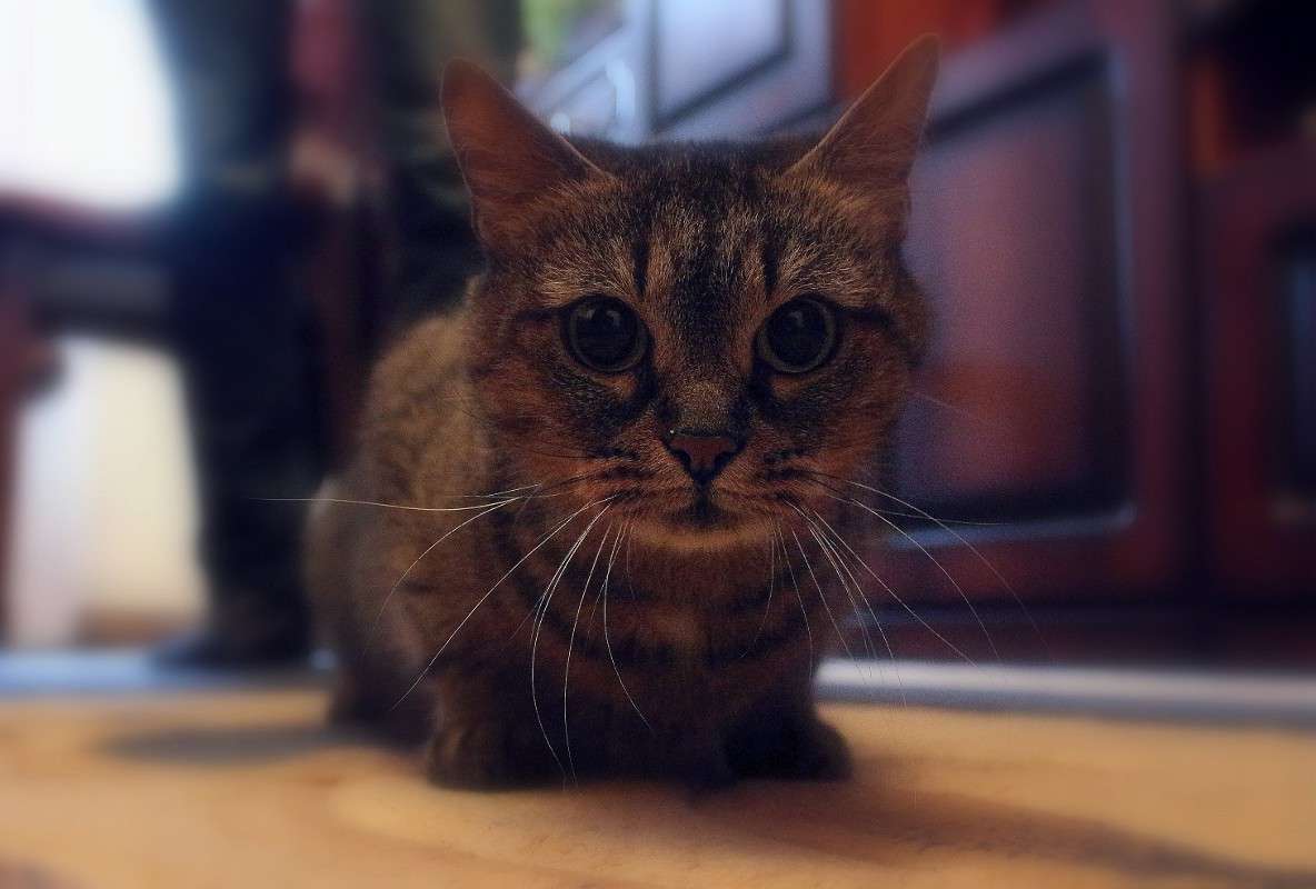 ���� ����� ���� �������� �� PhotoGeek.ru #�������� ��� #�������� ���