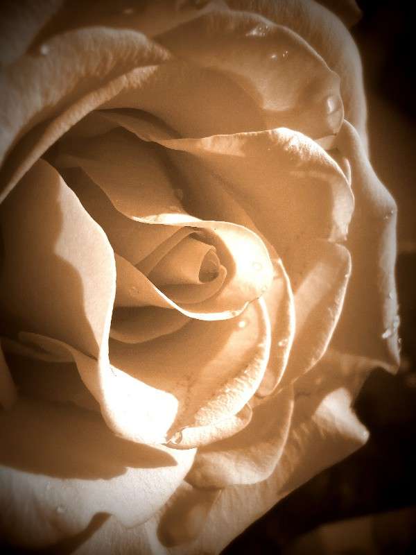 ������ ���� ����� ���� �������� �� PhotoGeek.ru #��������� #�����-�����