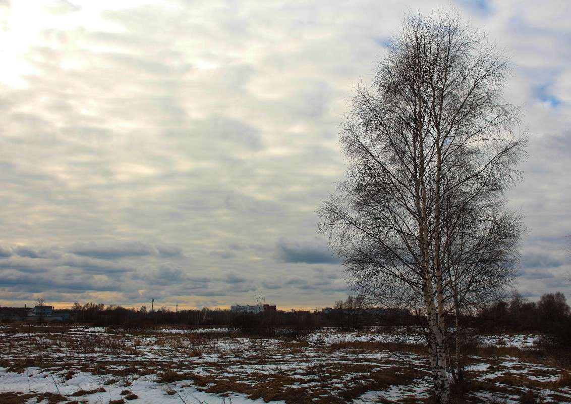 ����� ������ ����� ���� �������� �� PhotoGeek.ru #������ ��� ������� #���������