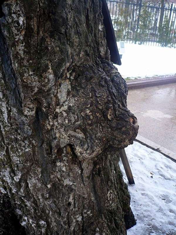 ���������� ���� ����� ���� �������� �� PhotoGeek.ru #������ ��� ������� #���������