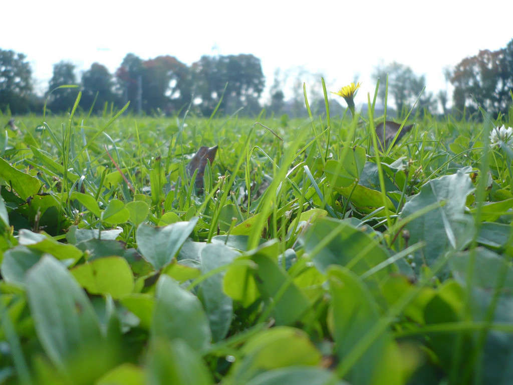 � ������ ��� �� ����� ����������.... ����� ���� �������� �� PhotoGeek.ru #�����