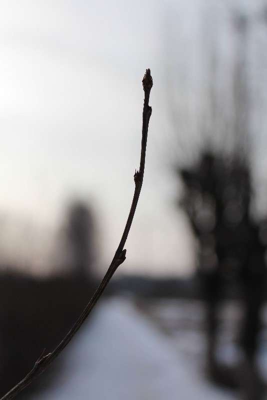 UP.. ����� ���� �������� �� PhotoGeek.ru #������ ��� �������