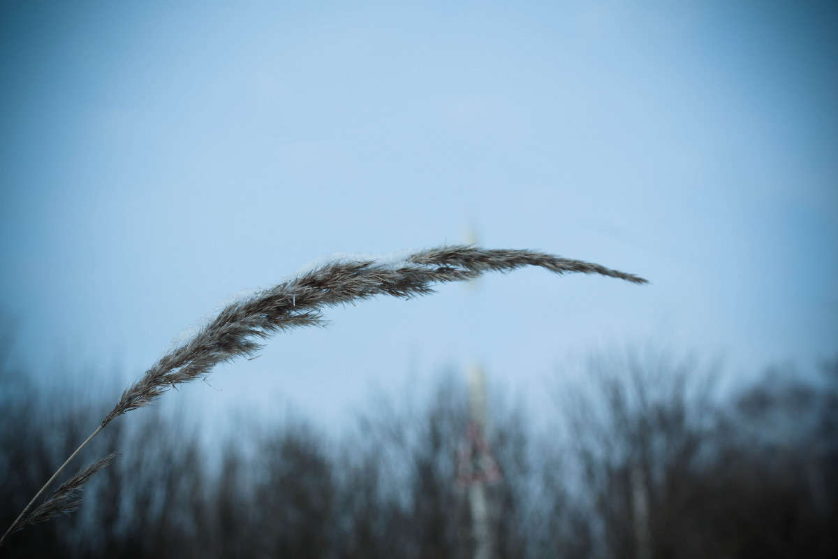 �������� ������� ����� ���� �������� �� PhotoGeek.ru #������ ��� �������