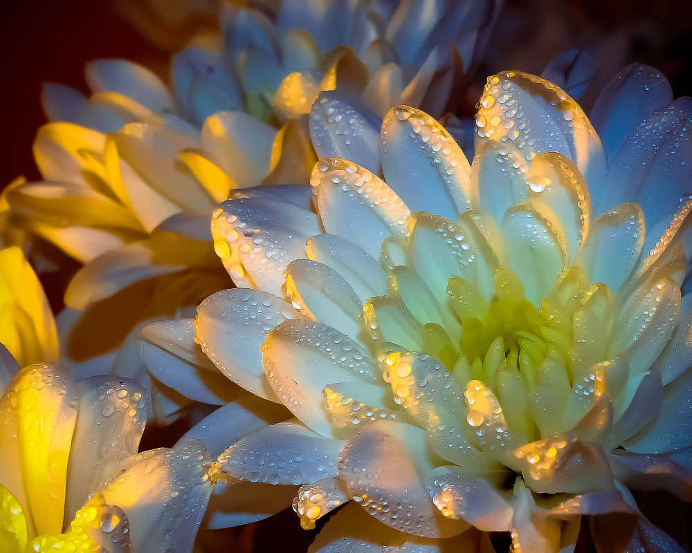 ��� ���� �������) ����� ���� �������� �� PhotoGeek.ru #���������