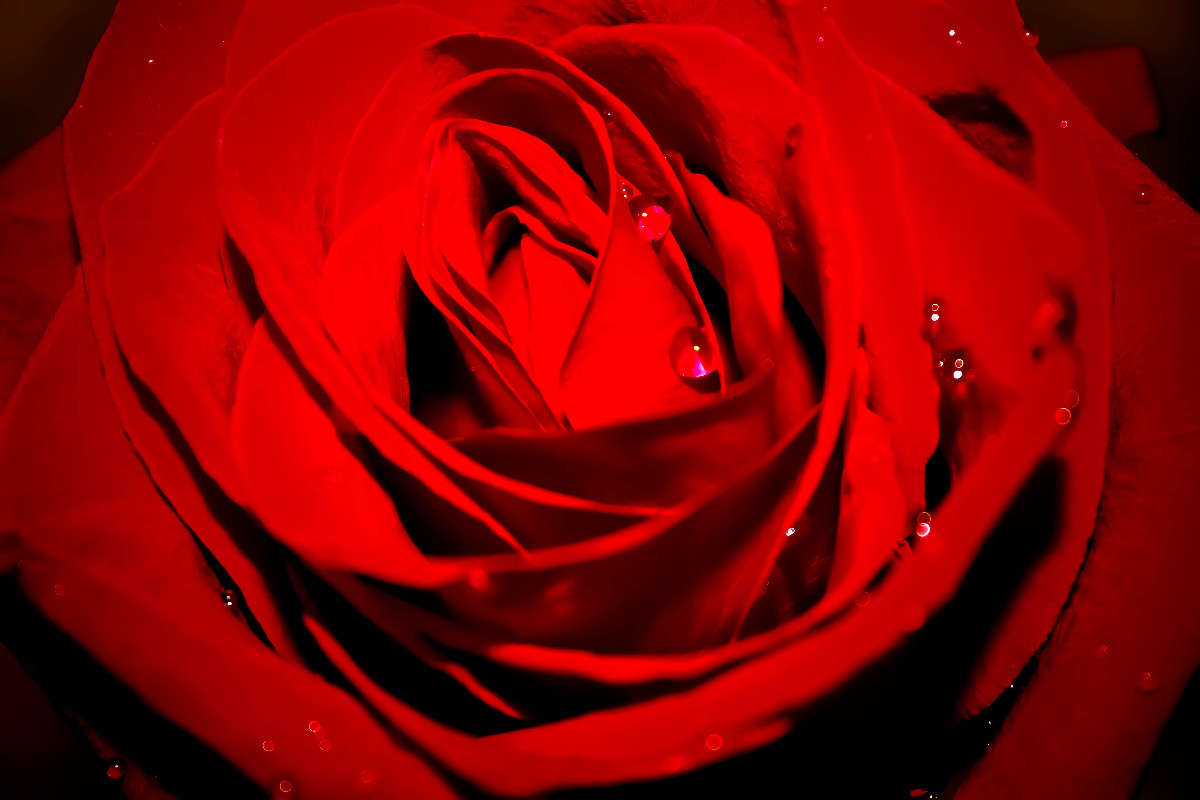 ������� ����� ���� �������� �� PhotoGeek.ru #�����