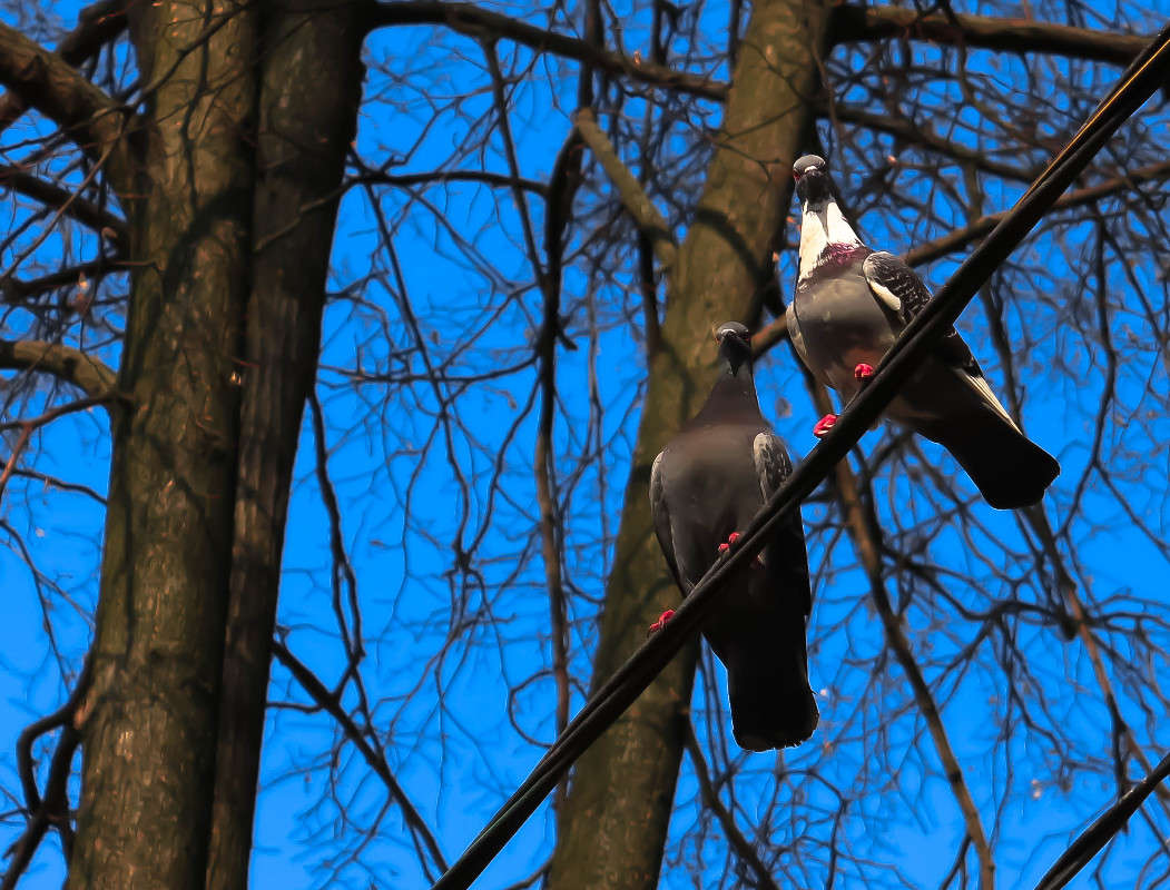 ��������� �����) ����� ���� �������� �� PhotoGeek.ru #�������� ��� #���-�����������