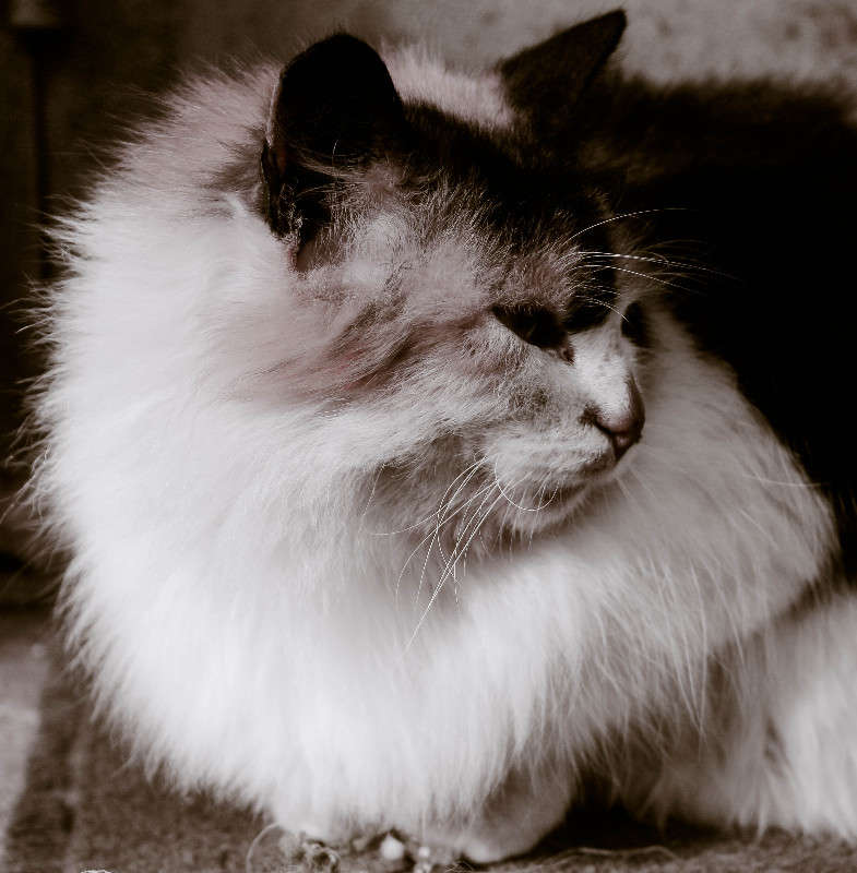 ���� ����� ���� �������� �� PhotoGeek.ru #�������� ��� #������� #�����-�����