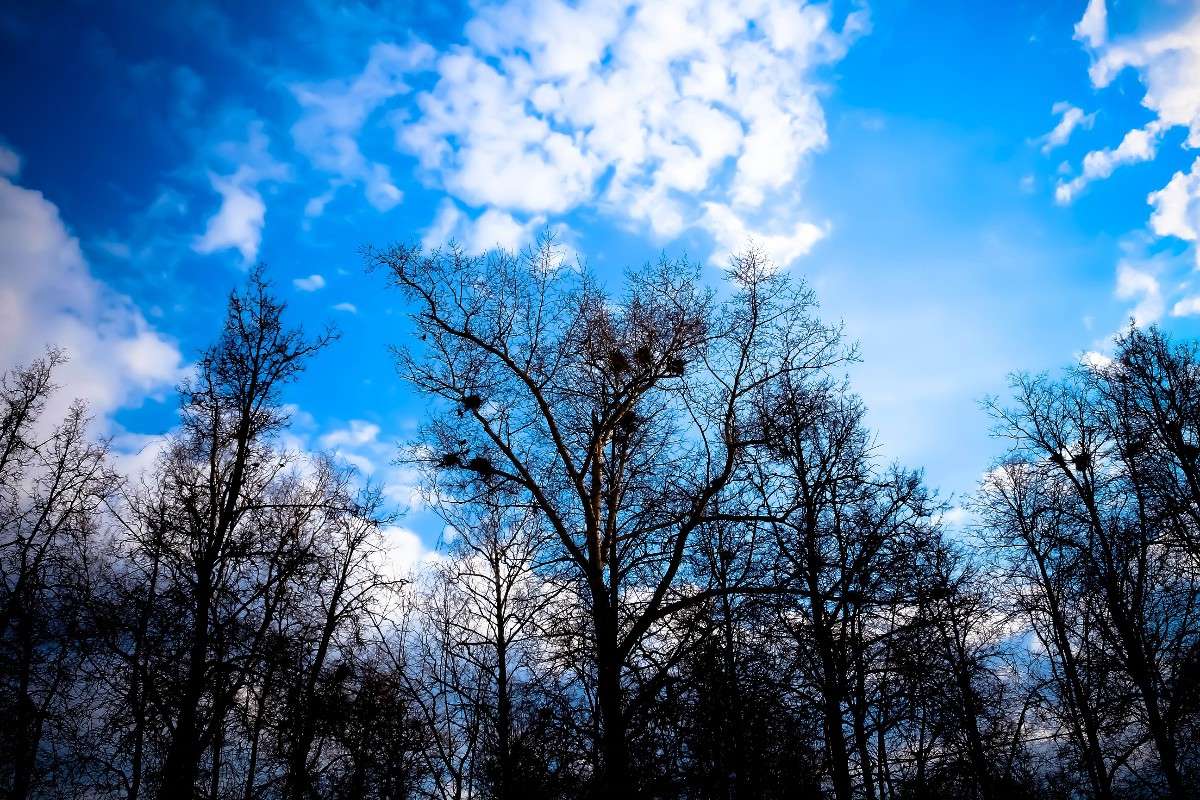 ������ ����� ���� �������� �� PhotoGeek.ru #�����