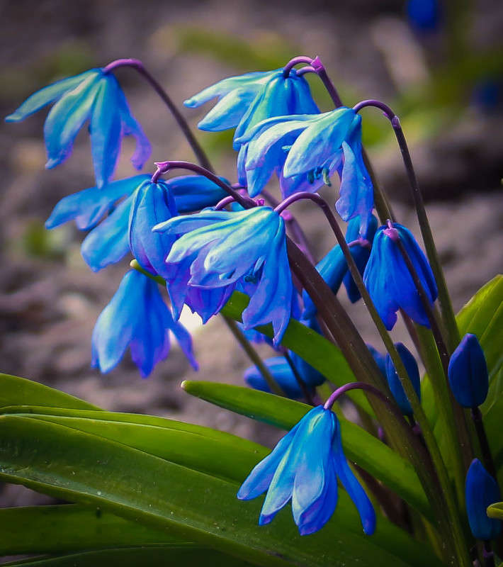 Blue ����� ���� �������� �� PhotoGeek.ru #�����