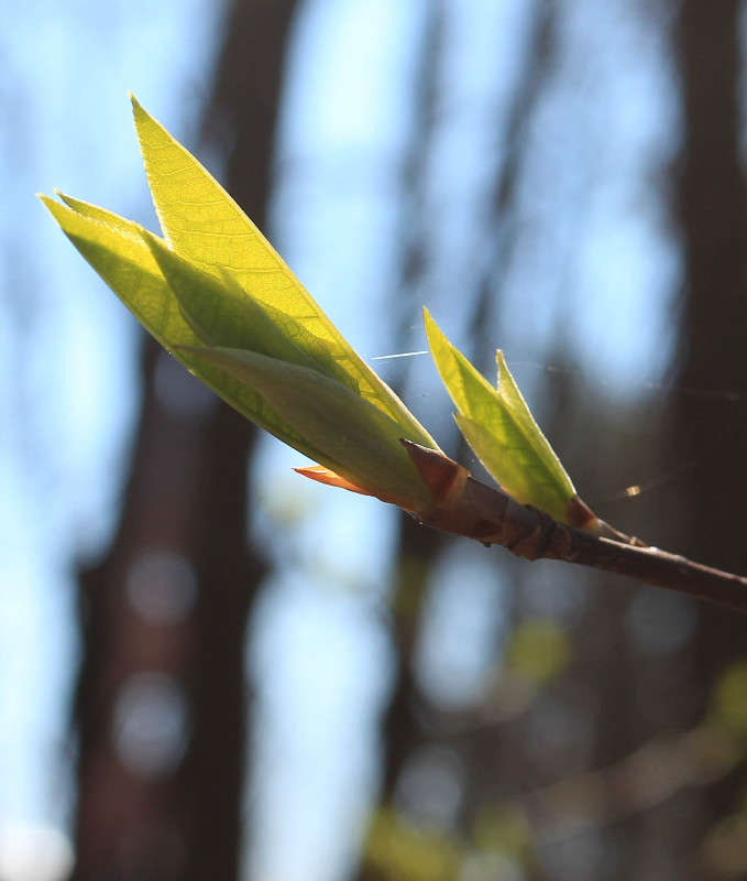 ������ ����� ���� �������� �� PhotoGeek.ru #������ ��� �������