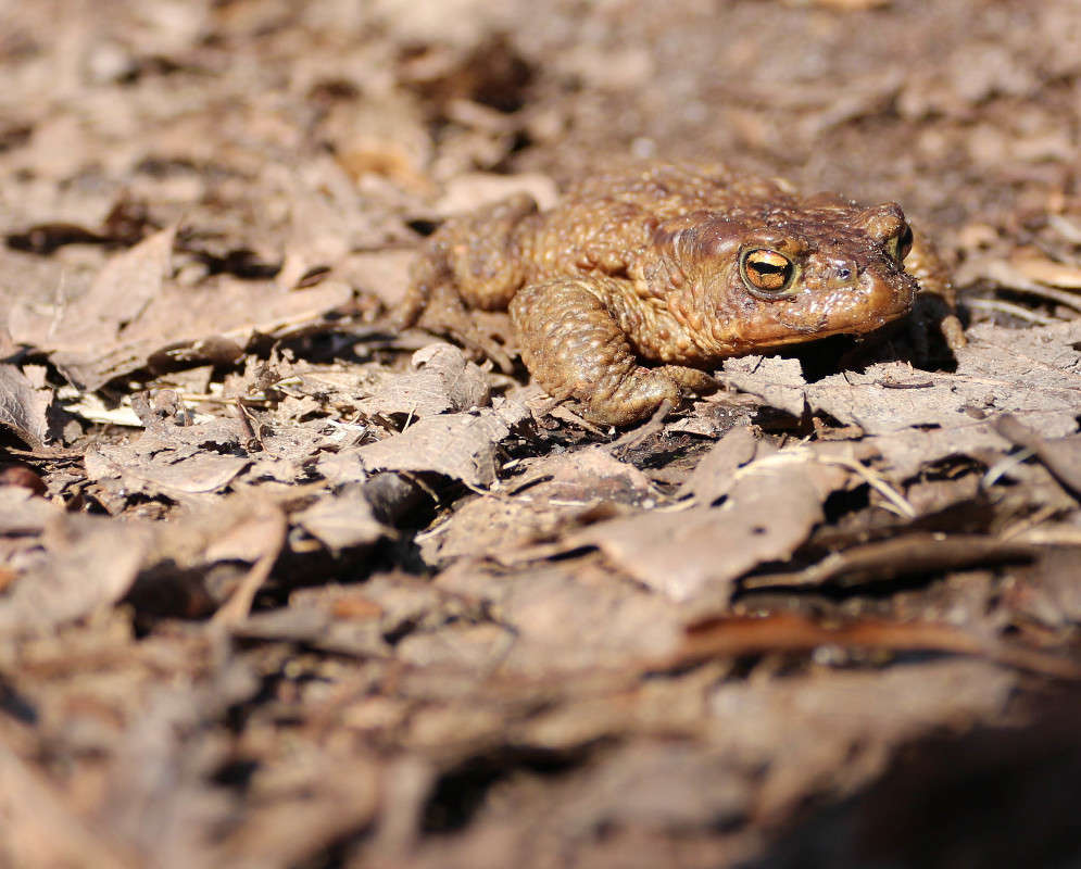 �������� ����� ���� �������� �� PhotoGeek.ru #�������� ���