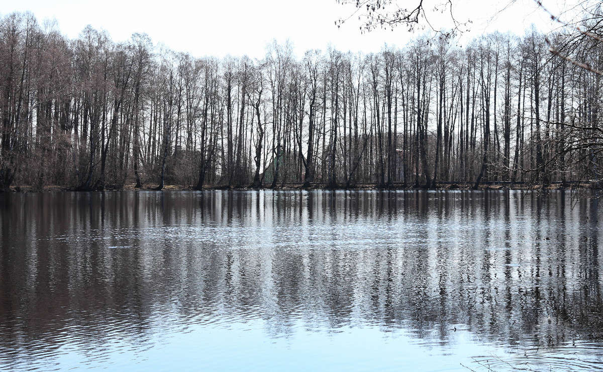 �������� ����� ���� �������� �� PhotoGeek.ru #������ ��� �������