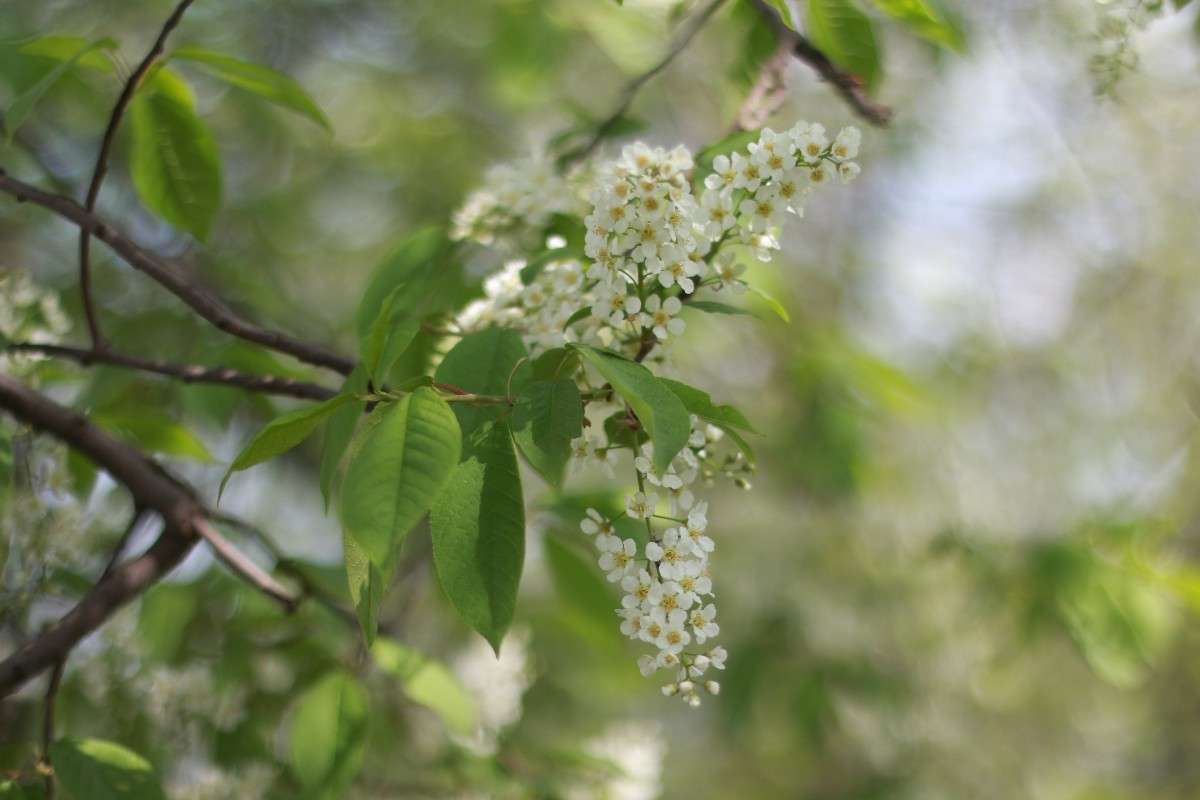 �������� ����� ���� �������� �� PhotoGeek.ru #�����