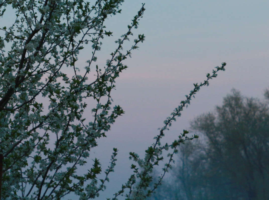 �������� ����� ����� ���� �������� �� PhotoGeek.ru #������ ��� �������