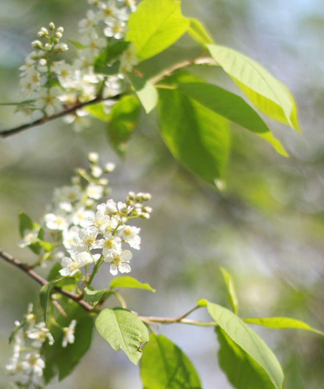 ������� ����� ���� �������� �� PhotoGeek.ru #������ ��� �������