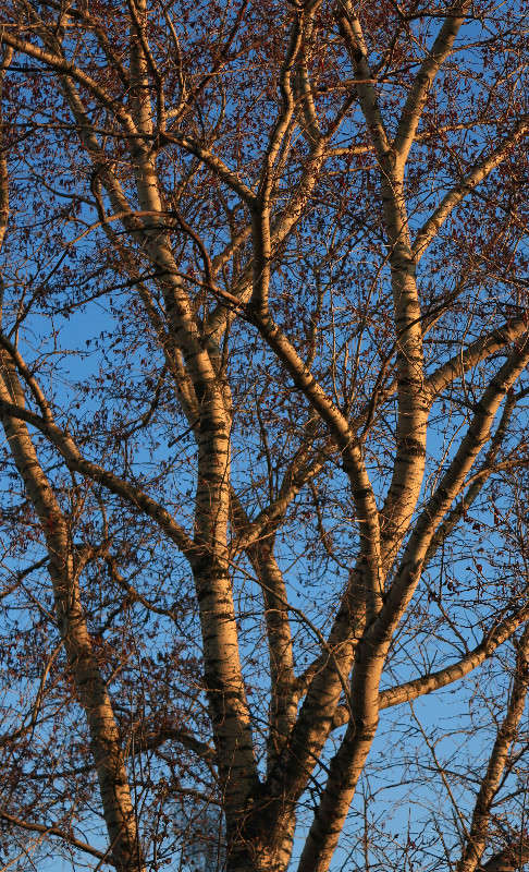 ������������ ����� ���� �������� �� PhotoGeek.ru #�����