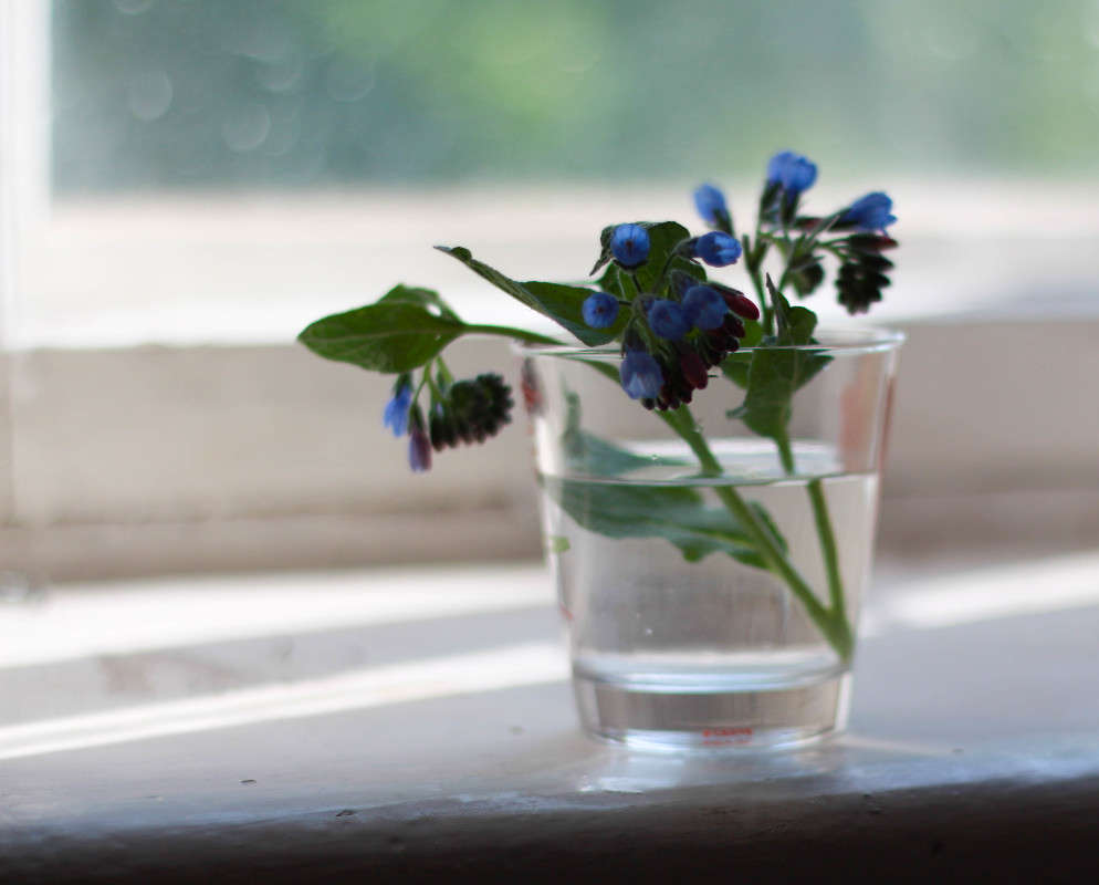 """ ����� ���� �������� �� PhotoGeek.ru #���������