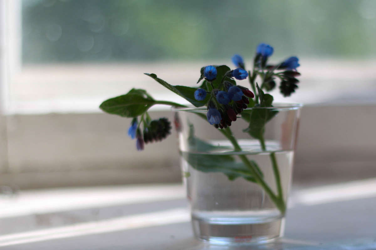 %%% ����� ���� �������� �� PhotoGeek.ru #���������