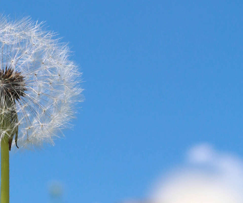 ������� ����� ���� �������� �� PhotoGeek.ru #�����