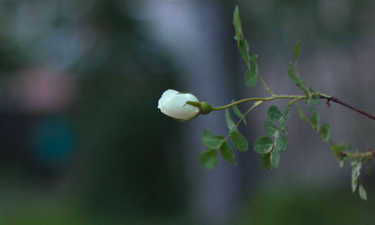 �������� ����� ���� �������� �� PhotoGeek.ru #������ ��� �������