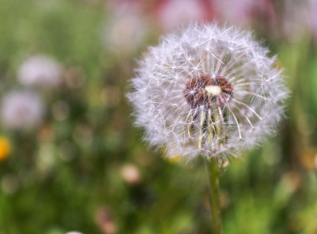 *** ����� ���� �������� �� PhotoGeek.ru #������ ��� �������