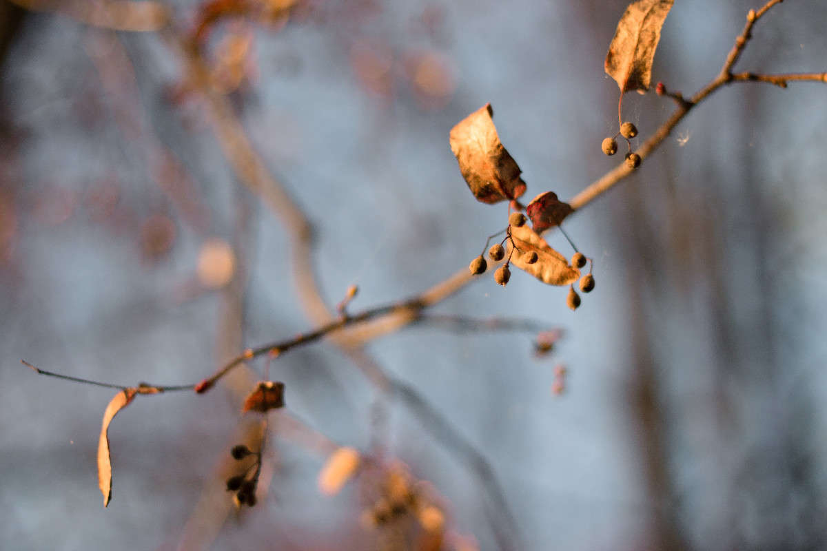 ����� ����� ������  �� PhotoGeek.ru #������ ��� ������� #����� �������������� #�����