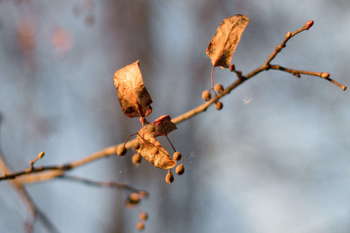 ����� ����� ������  �� PhotoGeek.ru #������ ��� ������� #����� �������������� #�����