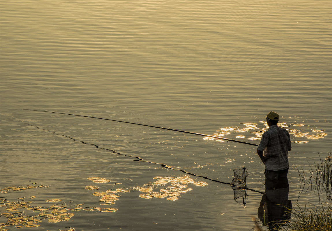 ������� �� �������� ������ ����� �������  �� PhotoGeek.ru #�������� ���������� #�����. ���� ����.