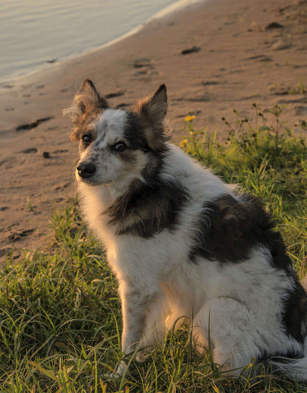 ����� ����� �������  �� PhotoGeek.ru #�������� ���