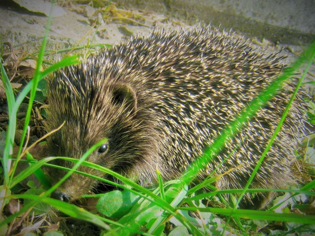 �� ��������� ����� ��������� ���������� �� PhotoGeek.ru #�������� ���