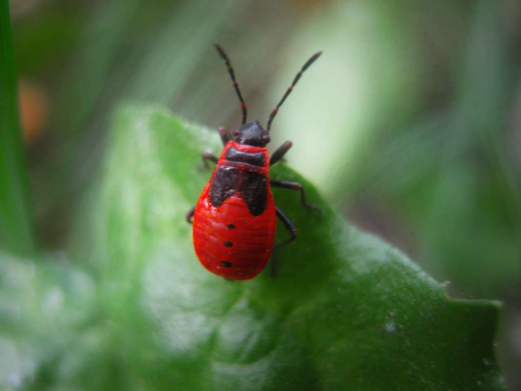 ... ����� ��������� ���������� �� PhotoGeek.ru