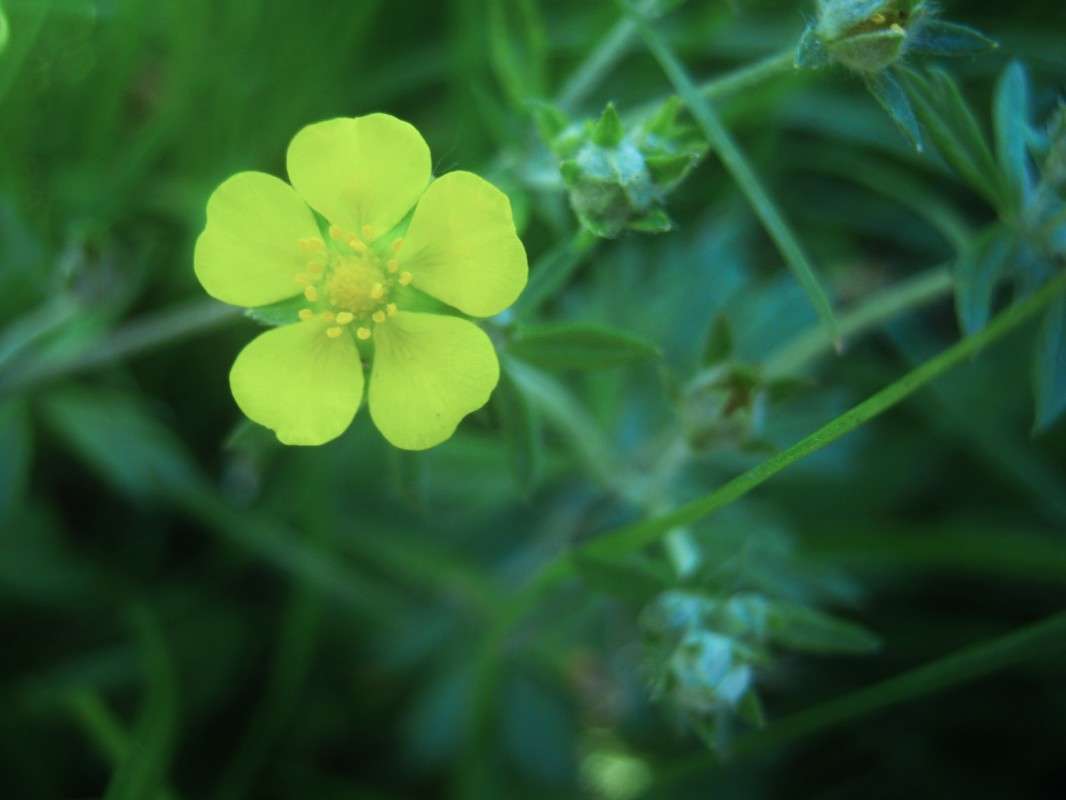 ... ����� ��������� ���������� �� PhotoGeek.ru #�����