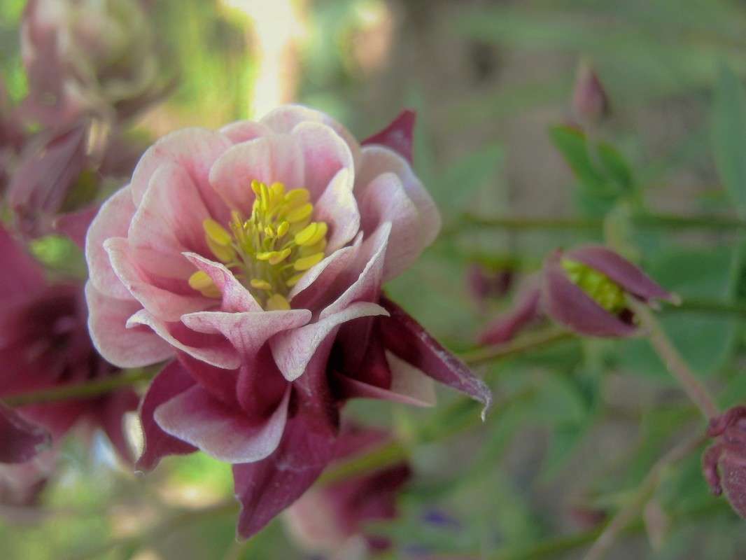 ... ����� ��������� ���������� �� PhotoGeek.ru #����� #������ ��� �������