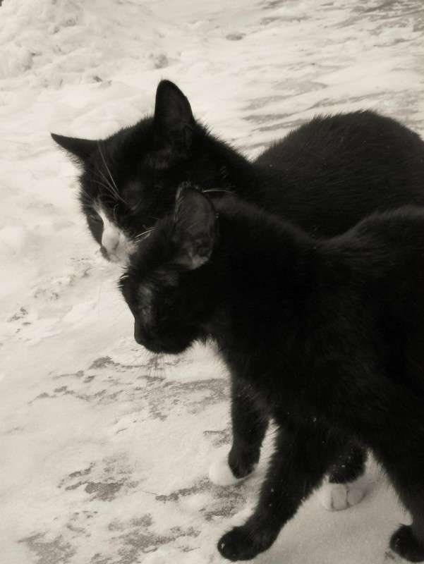 ... ����� ��������� ���������� �� PhotoGeek.ru #�������� ��� #�����-�����