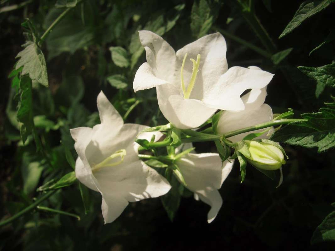 ... ����� ��������� ���������� �� PhotoGeek.ru #����� #����� ��������������