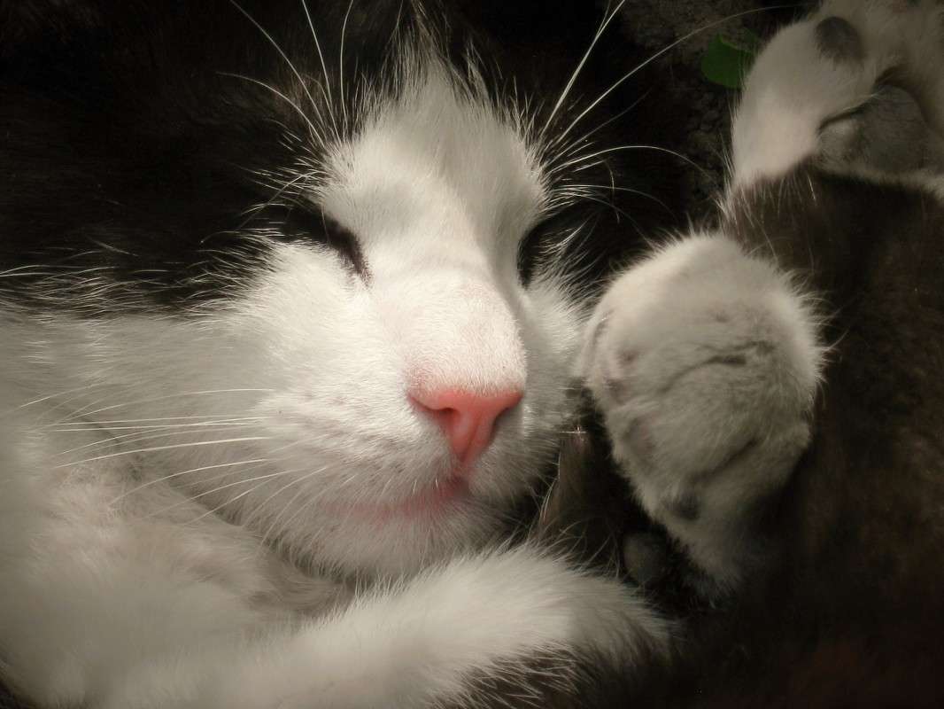 ... ����� ��������� ���������� �� PhotoGeek.ru #�������� ���