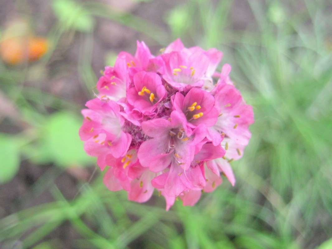 ... ����� ��������� ���������� �� PhotoGeek.ru #����� #����� ��������������