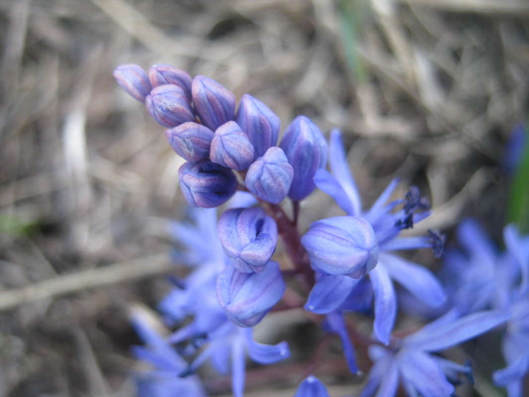 ... ����� ��������� ���������� �� PhotoGeek.ru #����� #����� ��������������