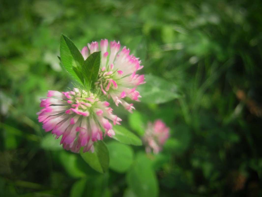 ... ����� ��������� ���������� �� PhotoGeek.ru #����� #����� ��������������