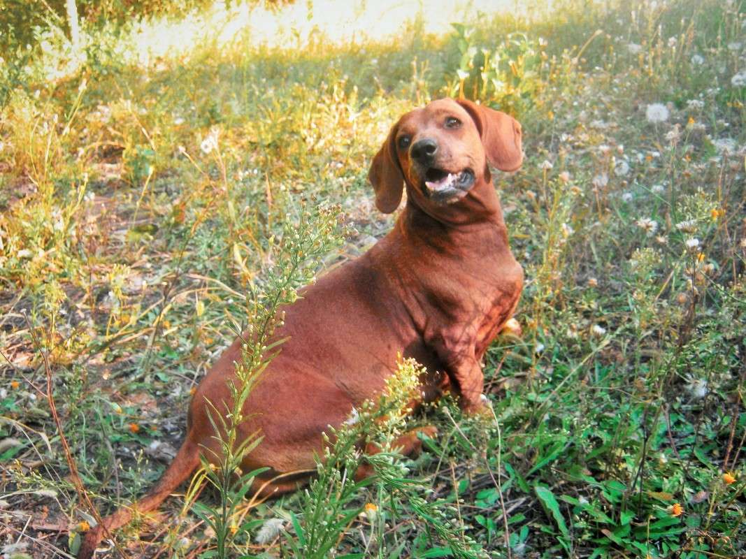 ... ����� ��������� ���������� �� PhotoGeek.ru #�������� ��� #�������