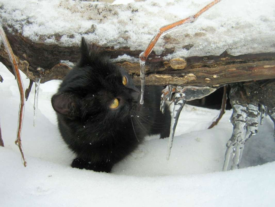 ... ����� ��������� ���������� �� PhotoGeek.ru #�������� ���