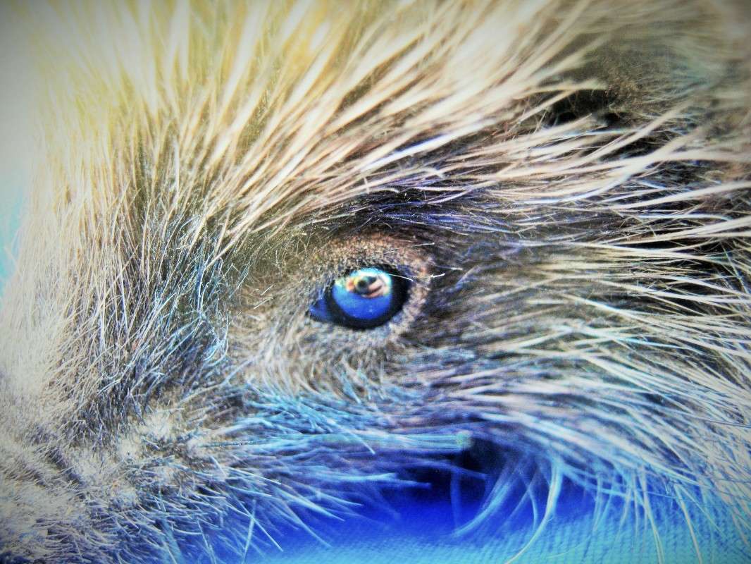 ... ����� ��������� ���������� �� PhotoGeek.ru #����� #�������� ���