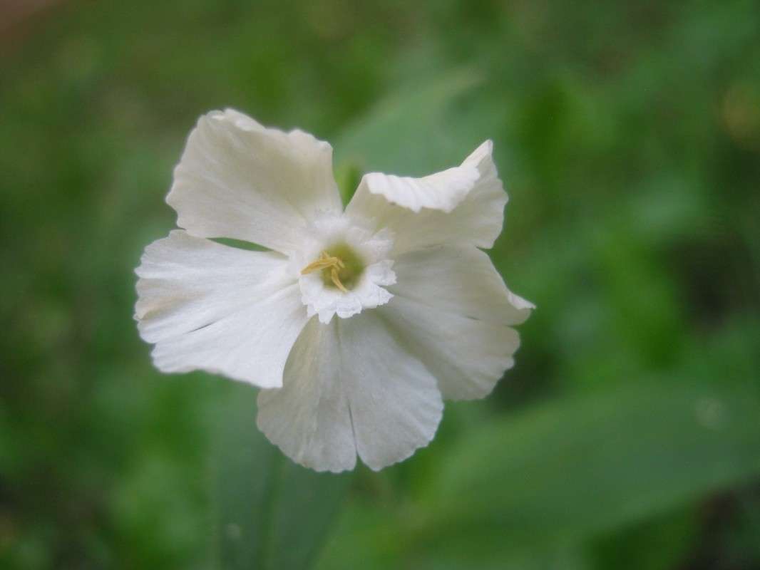 ... ����� ��������� ���������� �� PhotoGeek.ru #����� #����� ��������������