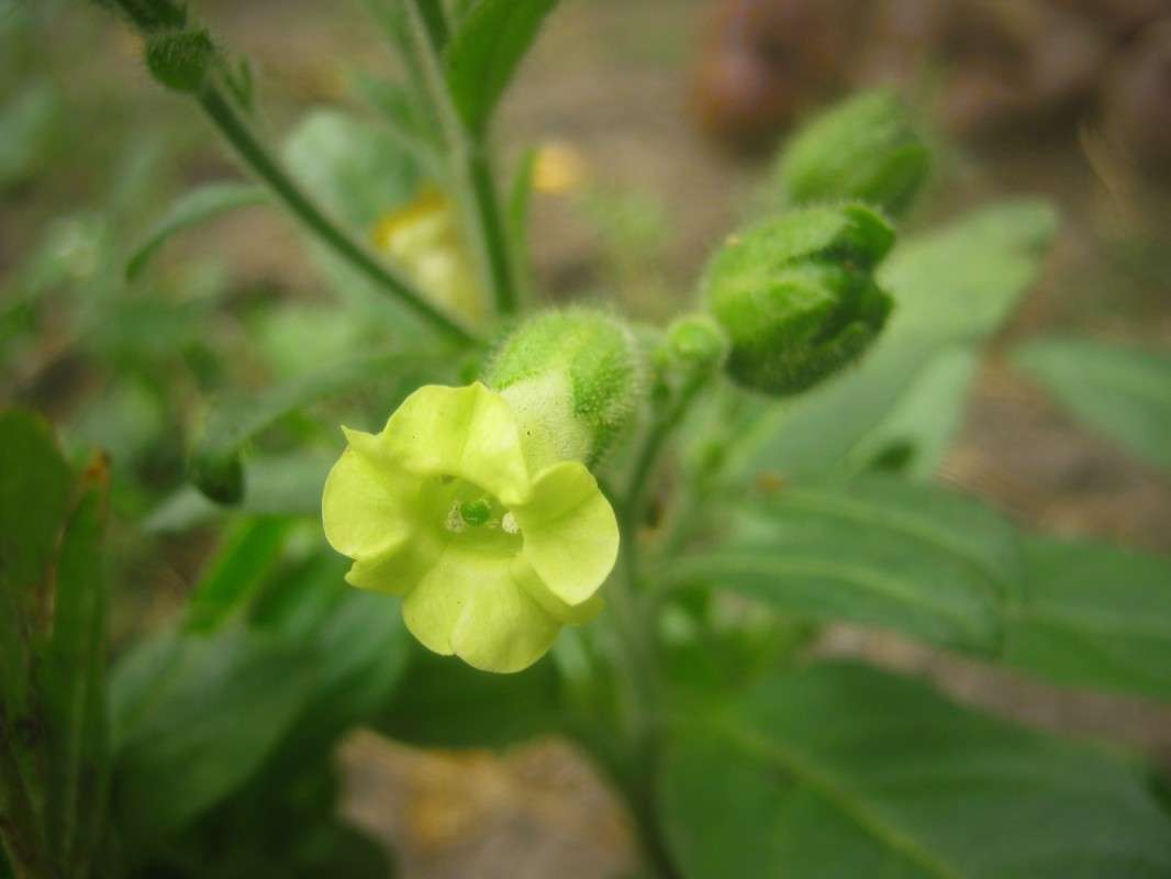 ... ����� ��������� ���������� �� PhotoGeek.ru #������ ��� ������� #����� ��������������