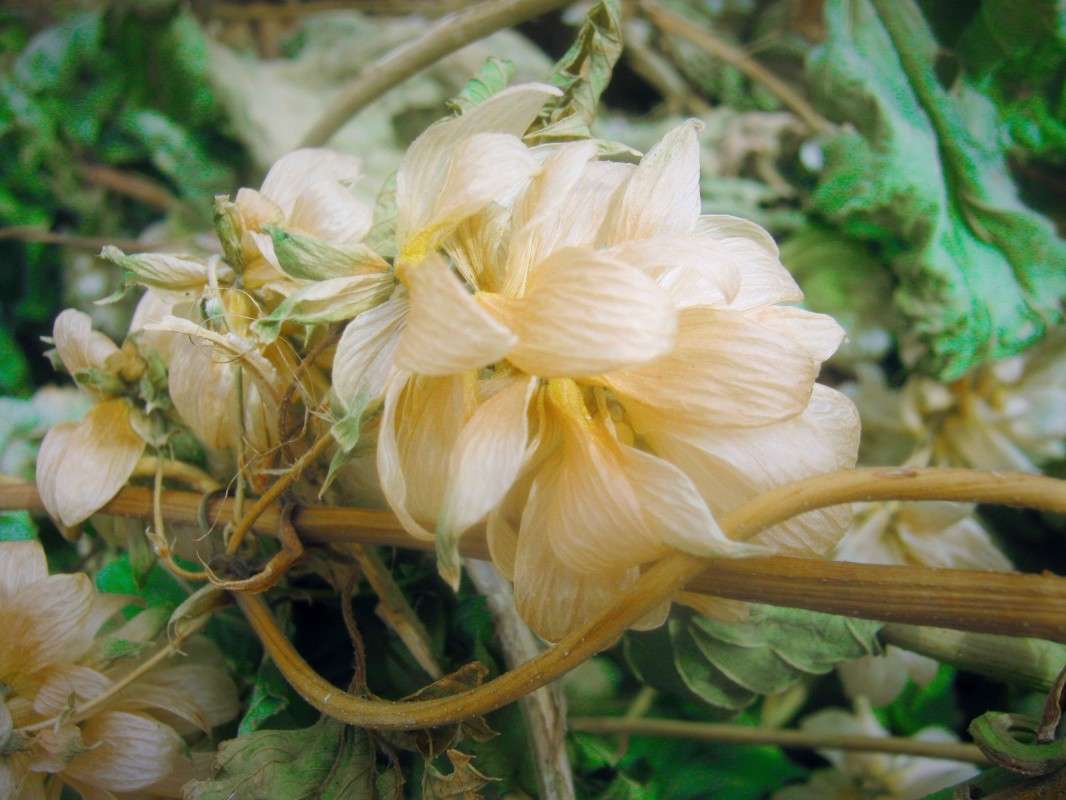 ... ����� ��������� ���������� �� PhotoGeek.ru #������ ��� �������