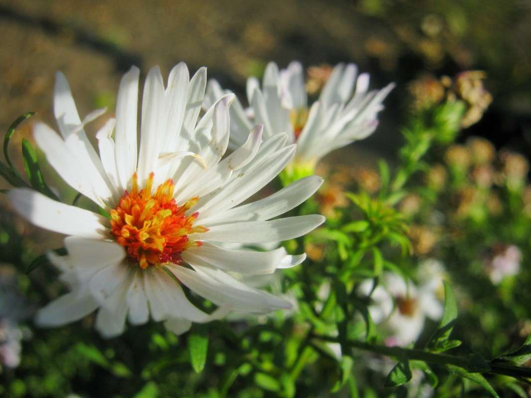 ... ����� ��������� ���������� �� PhotoGeek.ru #������ ��� ������� #����� ��������������