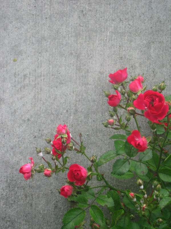 ... ����� ��������� ���������� �� PhotoGeek.ru #������ ��� ������� #����� �������������� #������