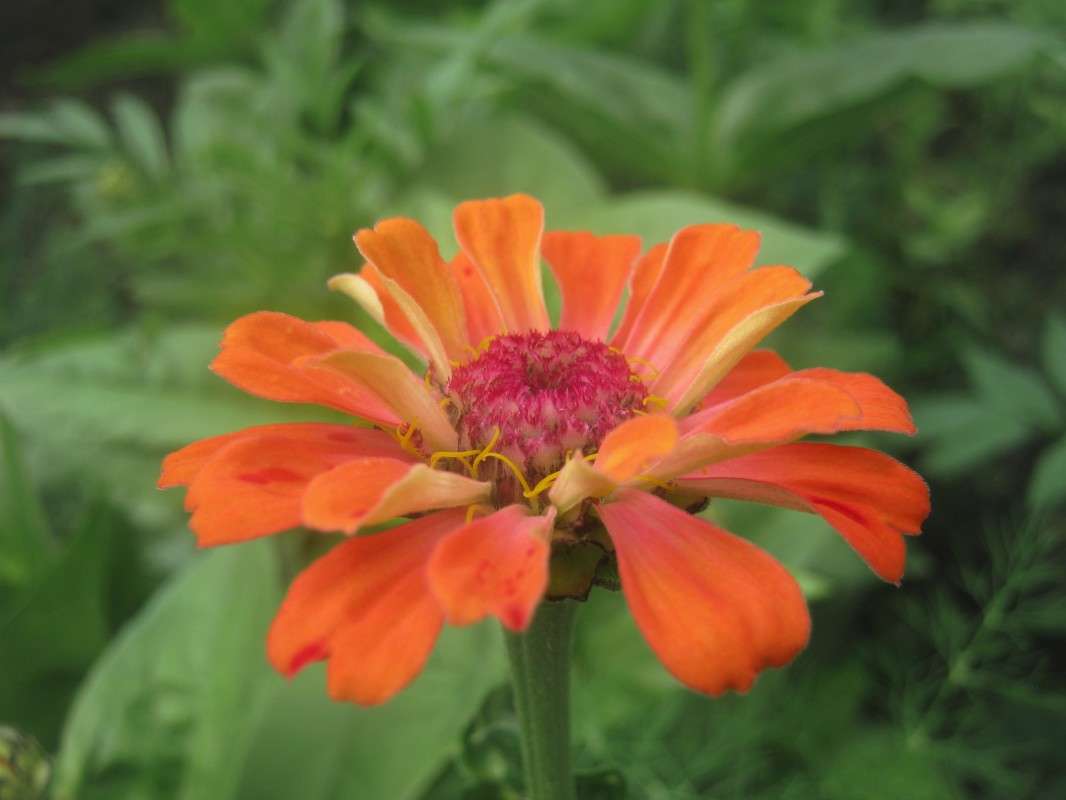 ... ����� ��������� ���������� �� PhotoGeek.ru #������ ��� ������� #����� ��������������