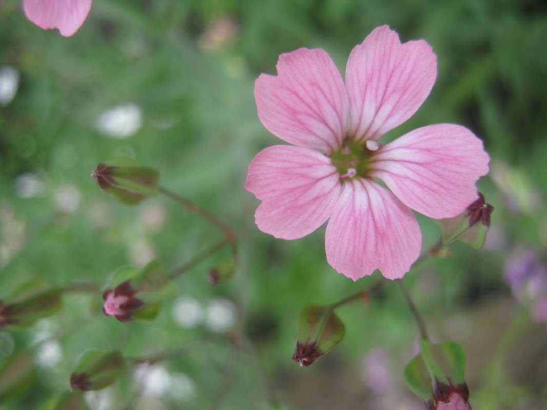 ... ����� ��������� ���������� �� PhotoGeek.ru #������ ��� ������� #����� ��������������